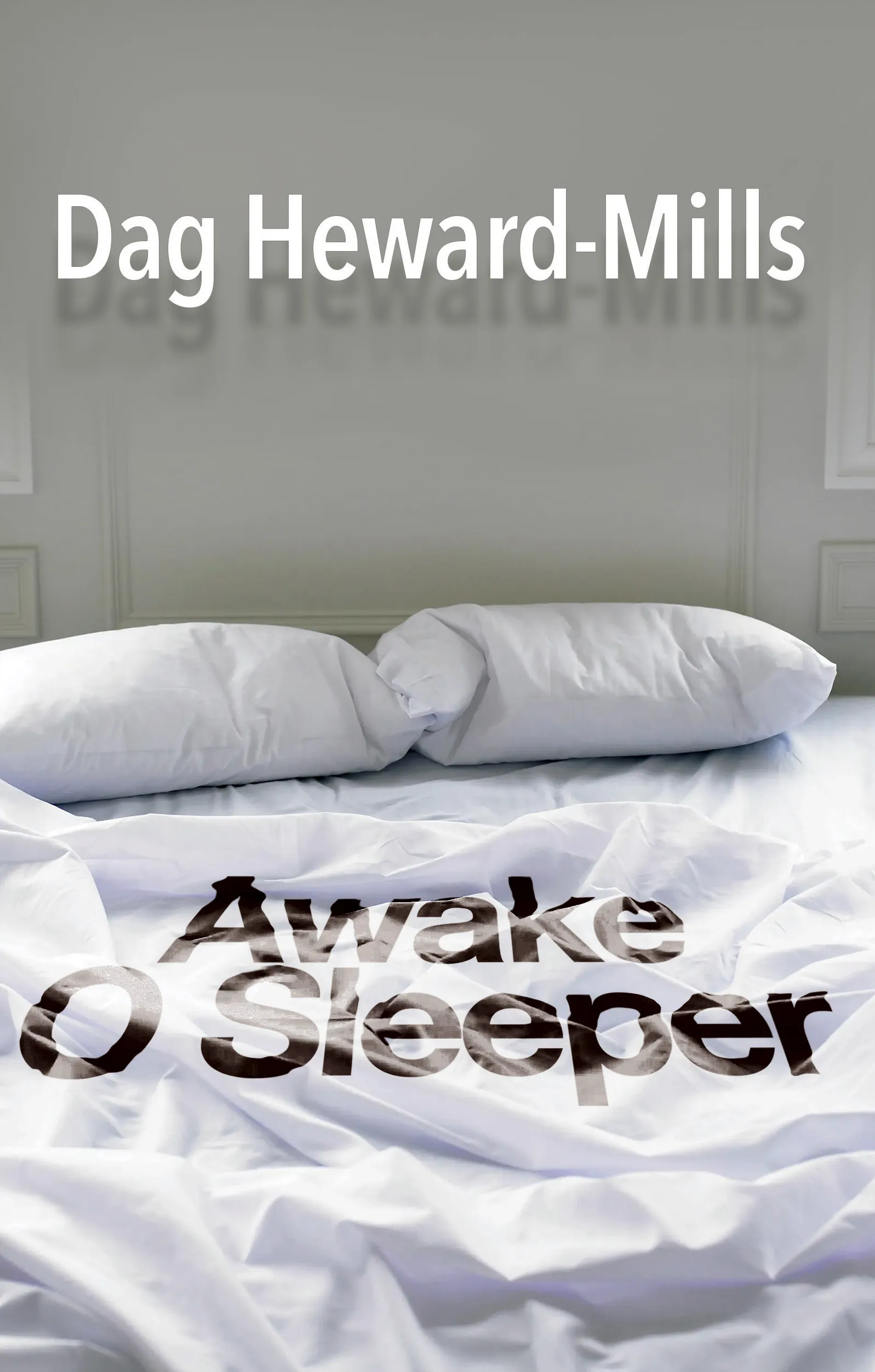Awake O Sleeper PDF