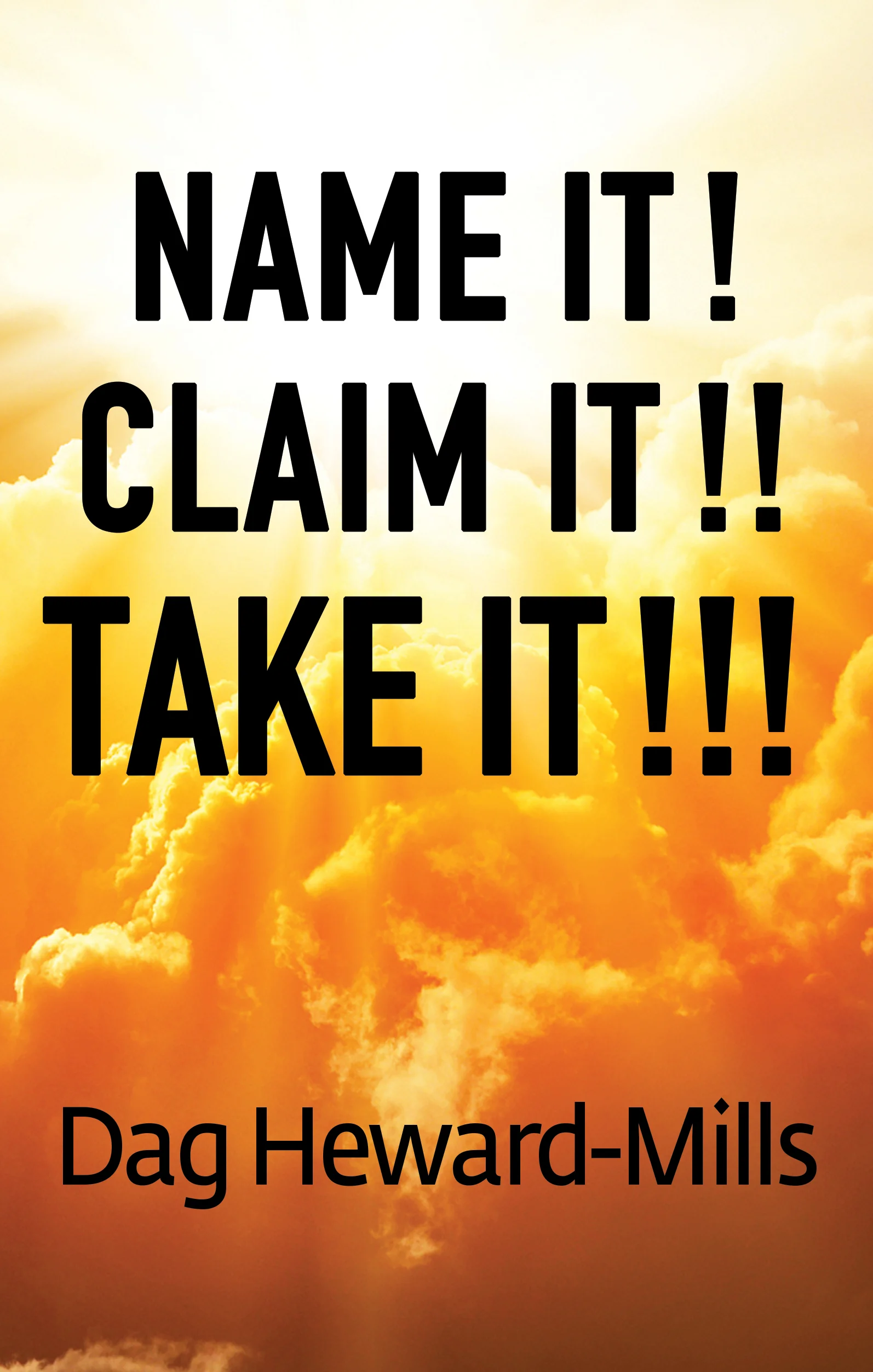 Name It! Claim It!! Take It!!! PDF